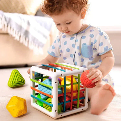 Cartelo Box - Educational Box