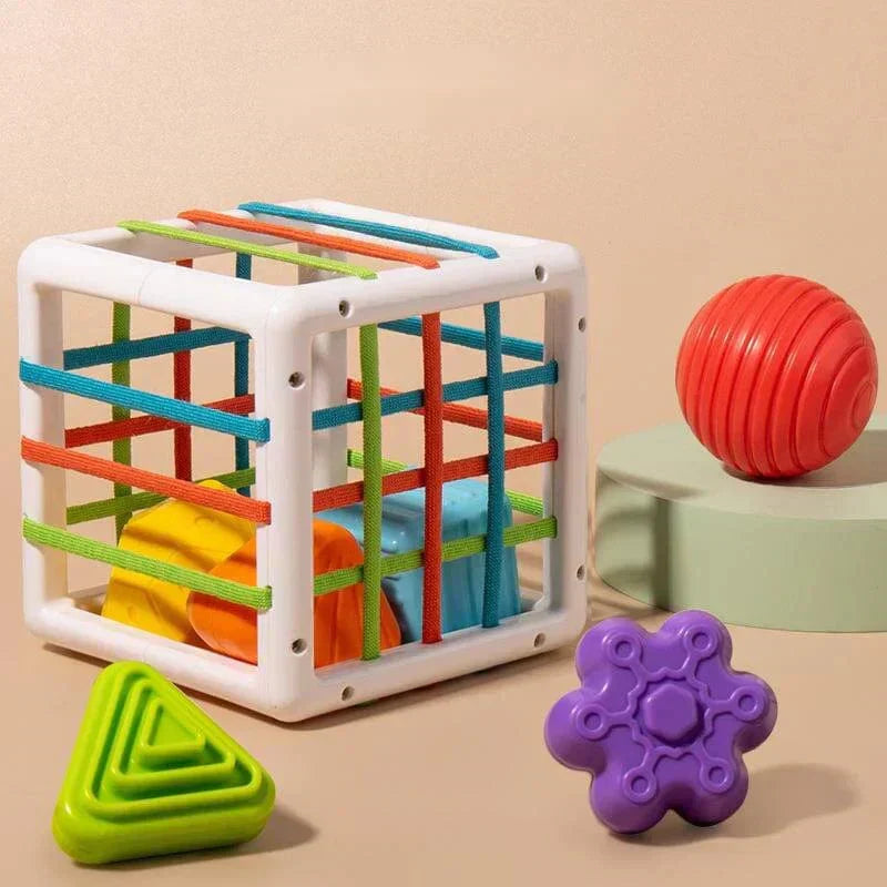 Cartelo Box - Educational Box