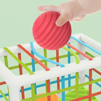 Cartelo Box - Educational Box