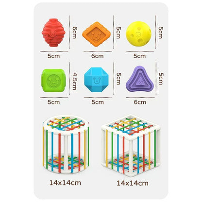 Cartelo Box - Educational Box