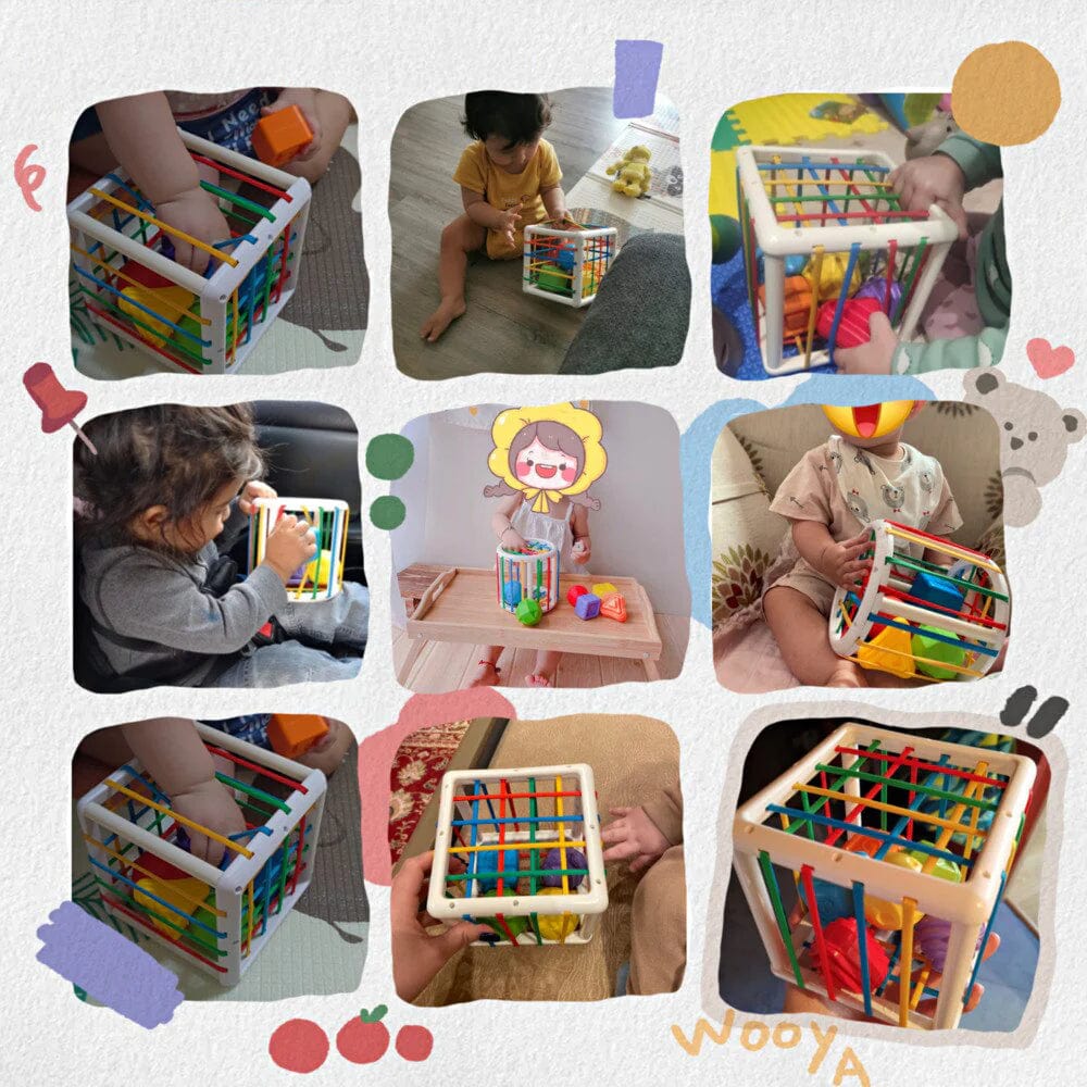 Cartelo Box - Educational Box