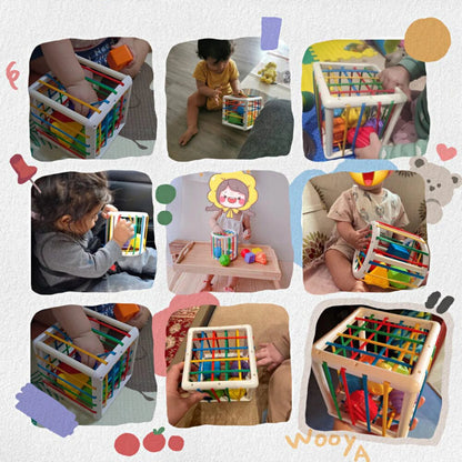 Cartelo Box - Educational Box